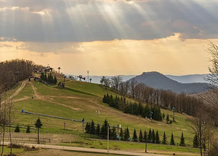 Larix Matra Vendeghaz *