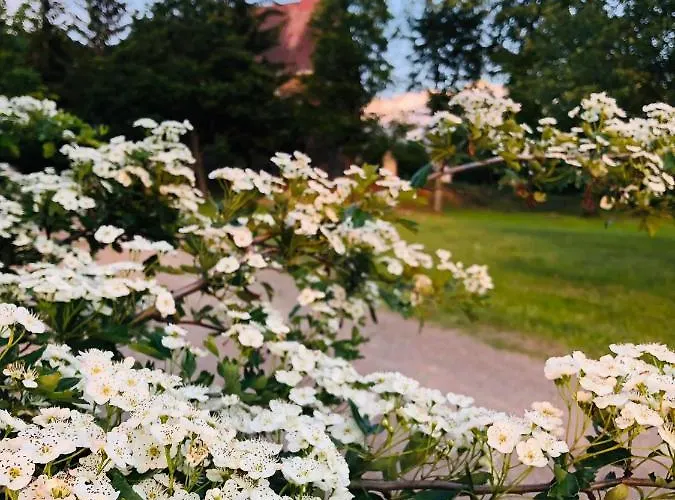 Larix Matra Vendeghaz Matraszentlaszlo