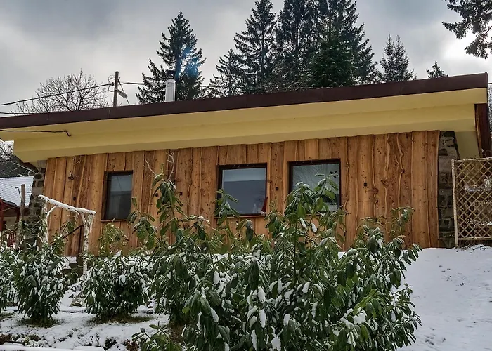 Larix Matra Vendeghaz Matraszentlaszlo